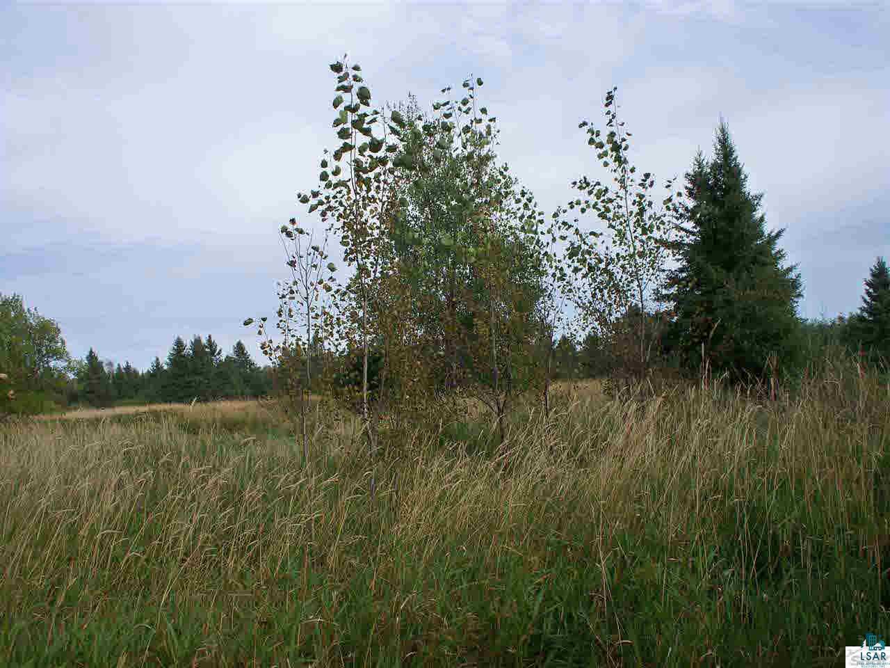 81300 Airport Road Port Wing, WI 54865 - Photo 19 of 23 Gallery Image 19