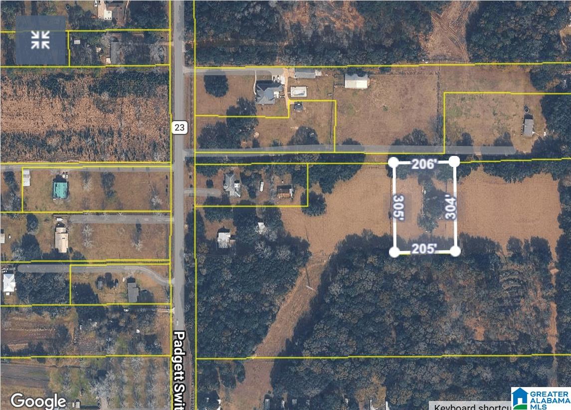0 Padgett Switch Road Irvington, AL 36544 - Photo 3 of 4
