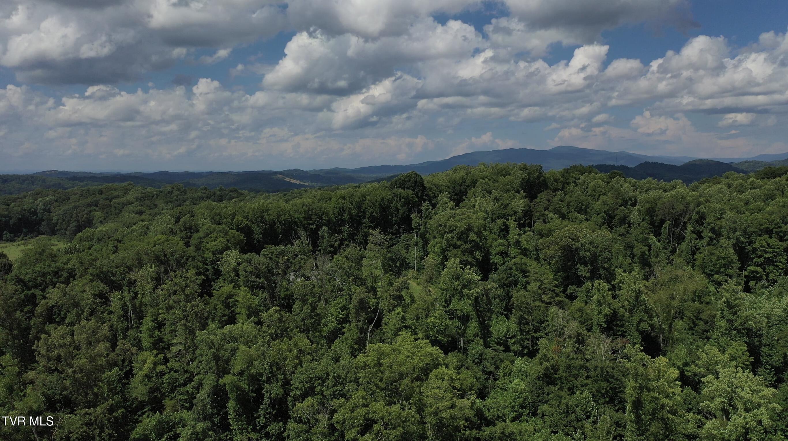 12-ac Max Jett Road Johnson City, TN 37601 - Photo 19 of 27 _Pic21 (3)