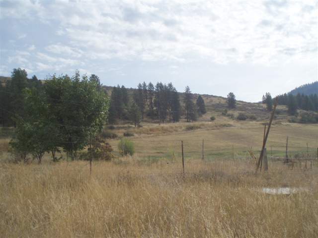 1955 Goddard Road Rice, WA 99167 - Photo 4 of 9