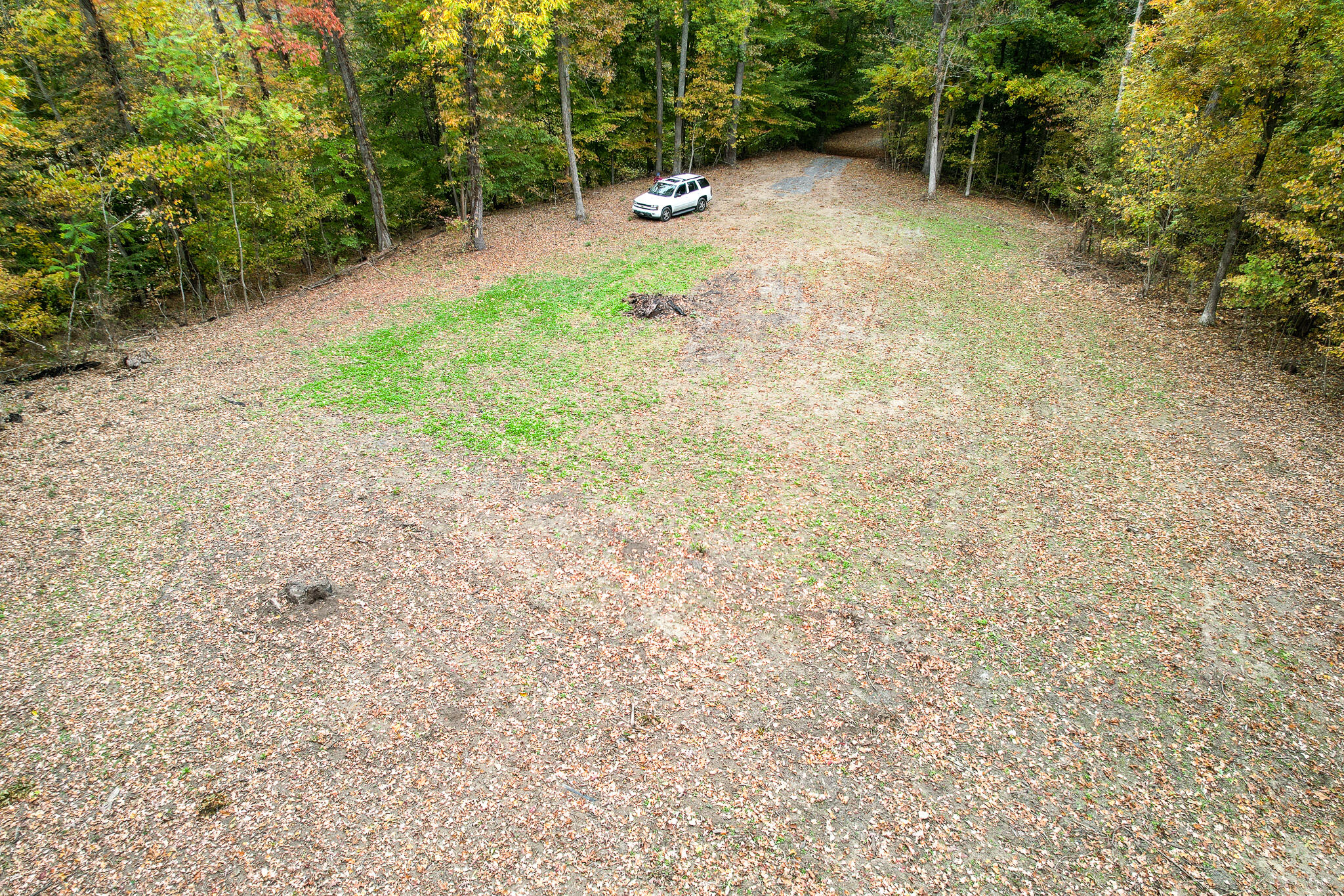 0 Warrensburg Road, Unit 78 Midway, TN 37809 - Photo 11 of 22 Snowden clearing 2