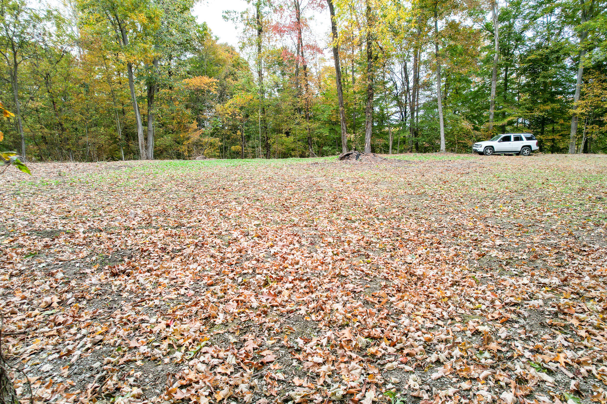 0 Warrensburg Road, Unit 78 Midway, TN 37809 - Photo 12 of 22 Snowden level Clearning