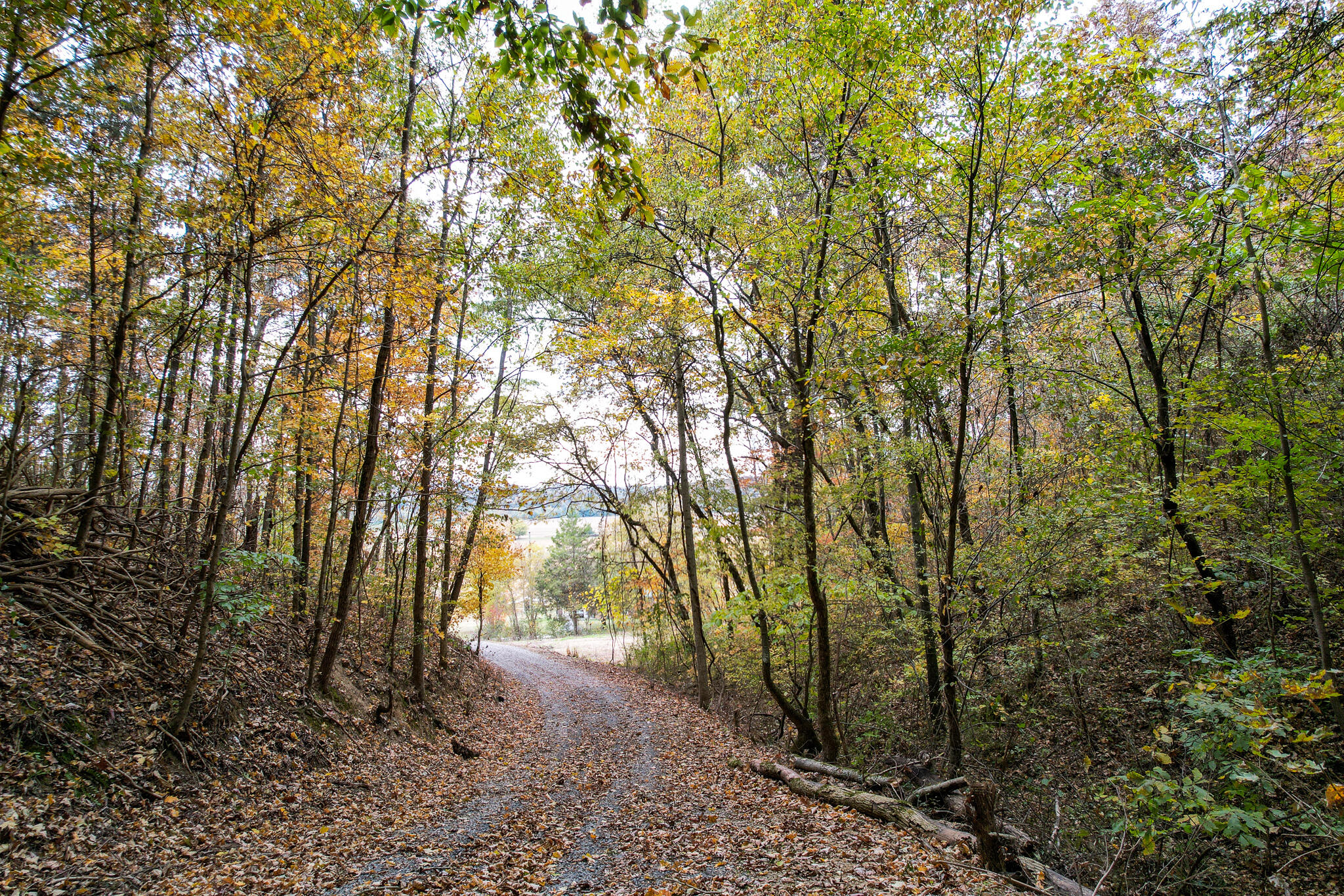 0 Warrensburg Road, Unit 78 Midway, TN 37809 - Photo 15 of 22 Snowden driveway south