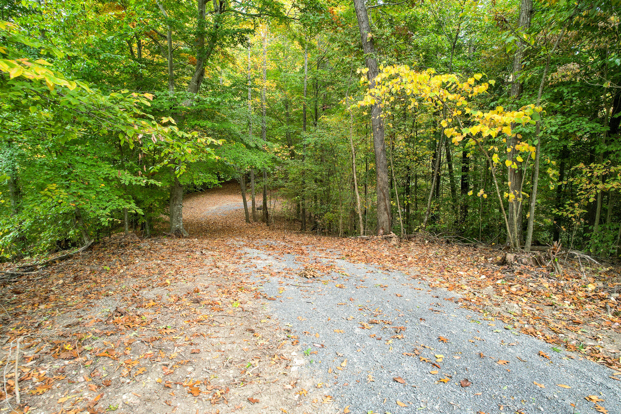 0 Warrensburg Road, Unit 78 Midway, TN 37809 - Photo 16 of 22 Snowden driveway southeast