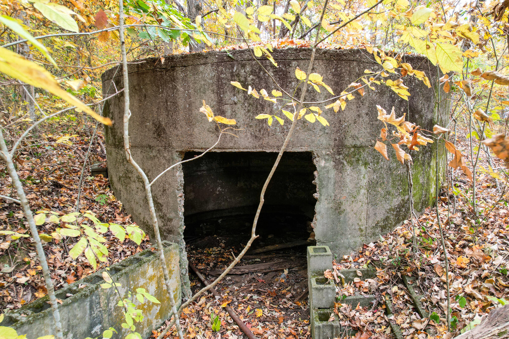 0 Warrensburg Road, Unit 78 Midway, TN 37809 - Photo 17 of 22 Snowden old cistern 1
