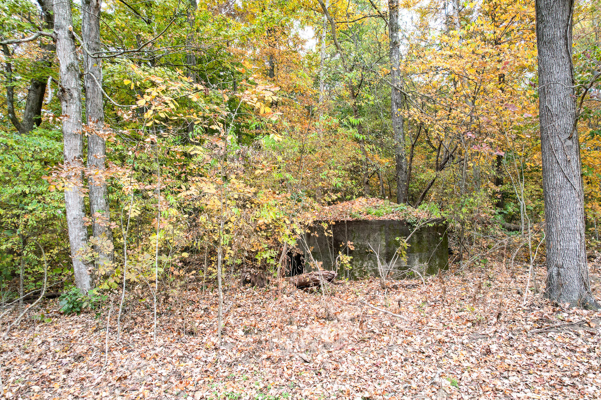 0 Warrensburg Road, Unit 78 Midway, TN 37809 - Photo 18 of 22 Snowden old cistern