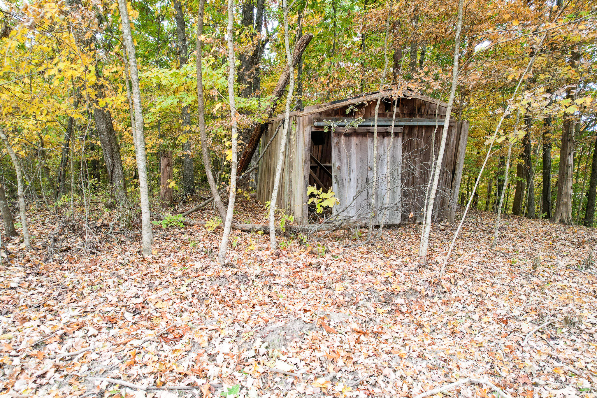 0 Warrensburg Road, Unit 78 Midway, TN 37809 - Photo 19 of 22 Snowden old shed