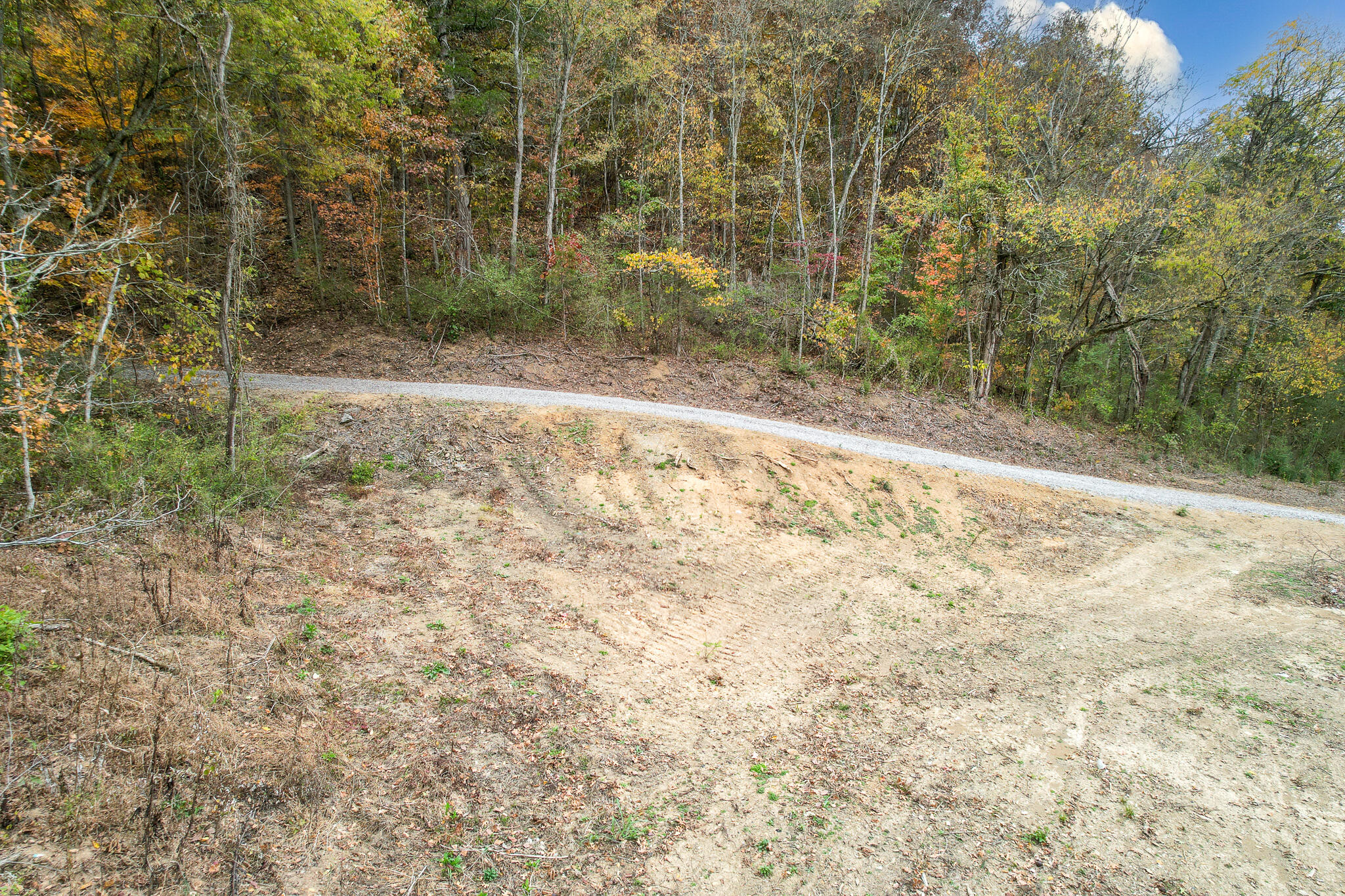 0 Warrensburg Road, Unit 78 Midway, TN 37809 - Photo 5 of 22 Snowden lower building site