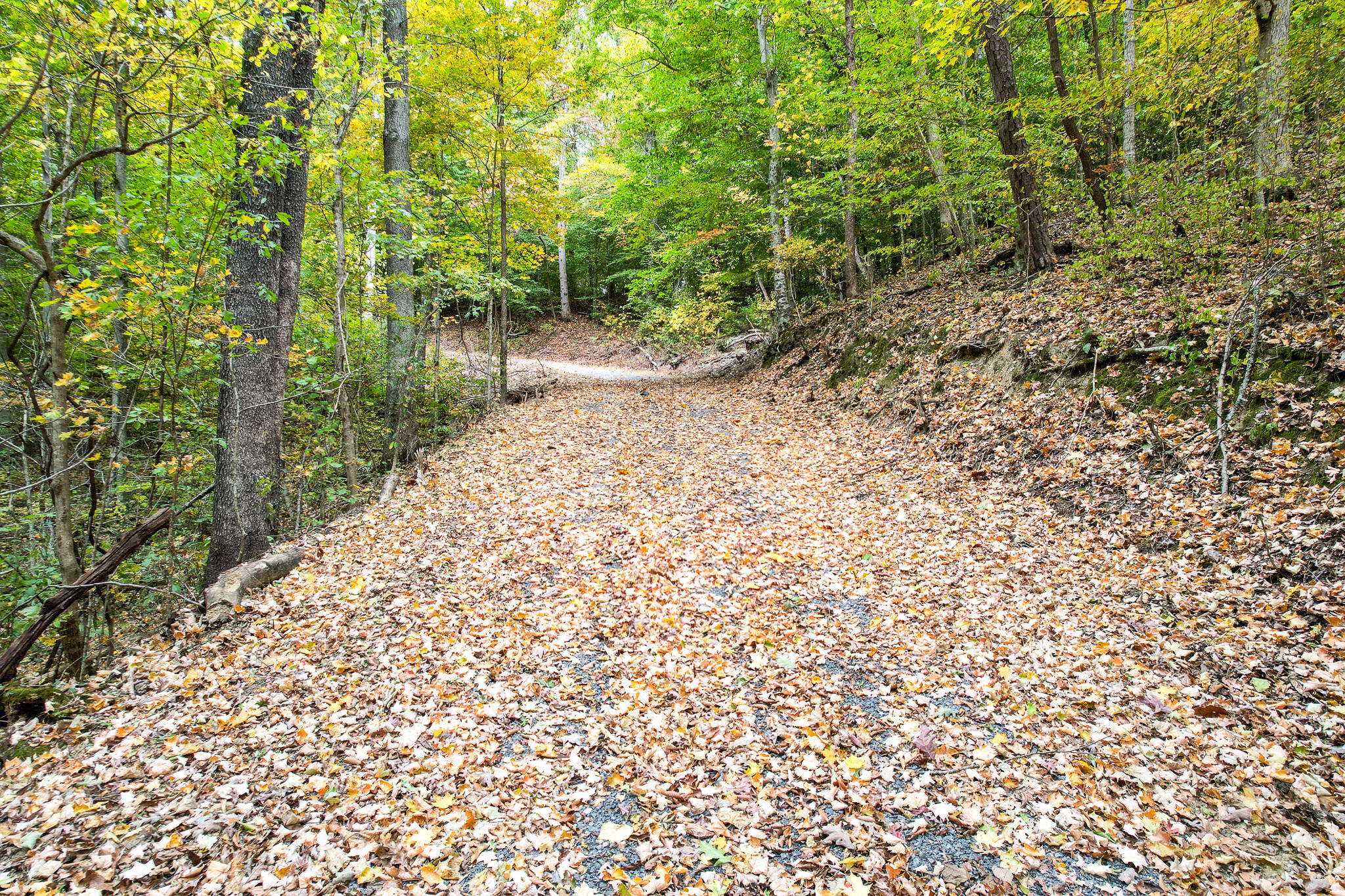 0 Warrensburg Road, Unit 78 Midway, TN 37809 - Photo 7 of 22 Snowden Driveway North