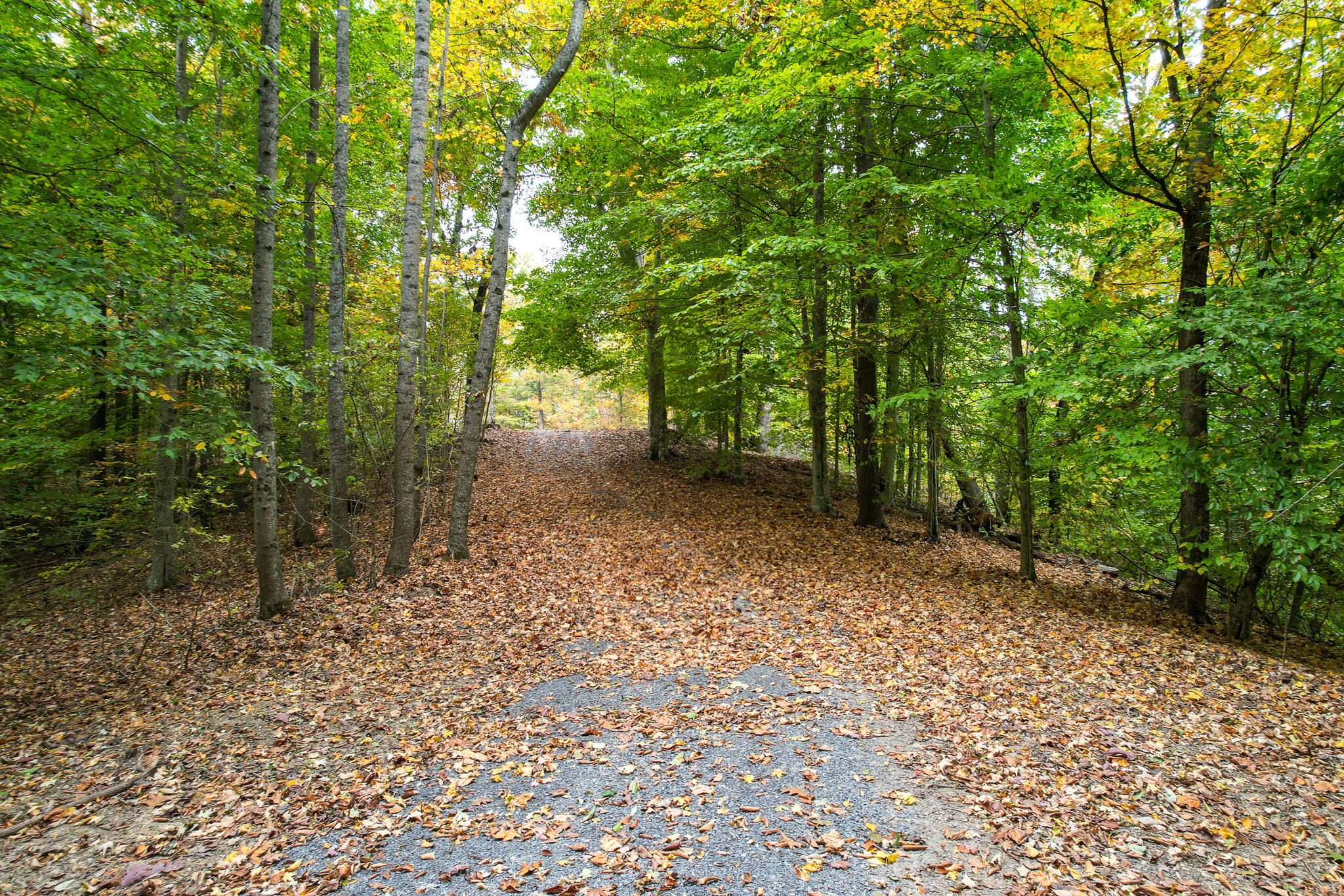 0 Warrensburg Road, Unit 78 Midway, TN 37809 - Photo 8 of 22 Snowden Driveway on ridge