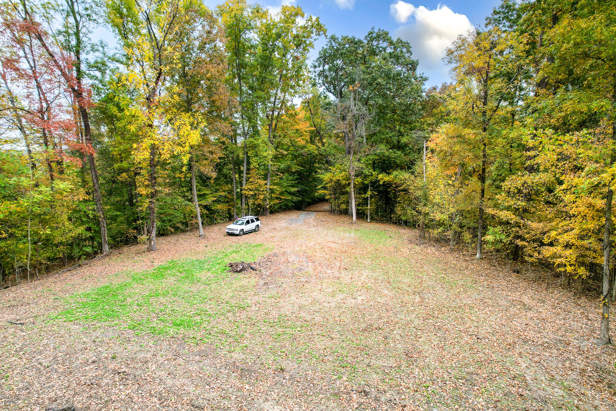 0 Warrensburg Road, Unit 78 Midway, TN 37809 - Photo 10 of 22 Snowden Clearing facing east