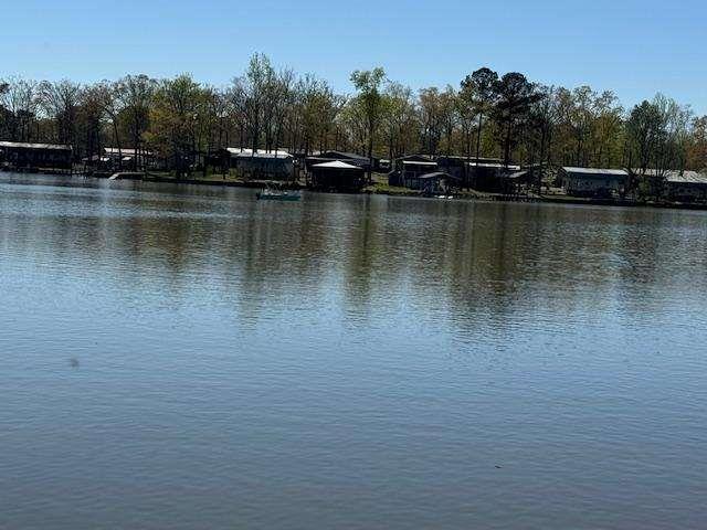 0 County Road Centre, AL 35960 - Photo 4 of 5