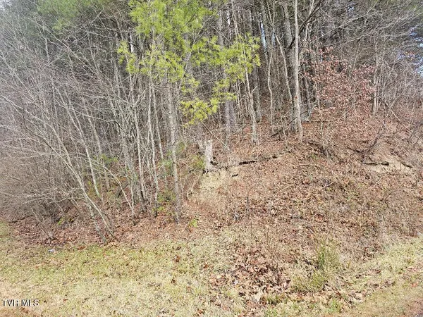 $13,000 | 10402 Right Fork Road, Pound, VA 24279