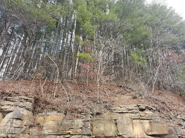 $15,500 | 10402 Right Fork Road, Pound, VA 24279