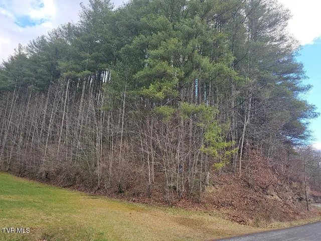 $15,500 | 10402 Right Fork Road, Pound, VA 24279