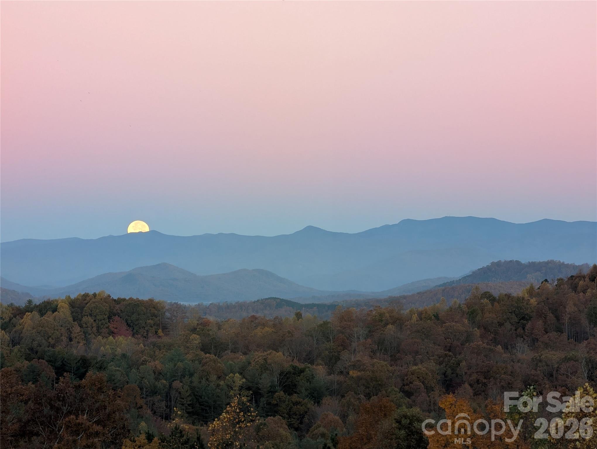 463 Summit Trail Nebo, NC 28761 - Photo 40 of 47