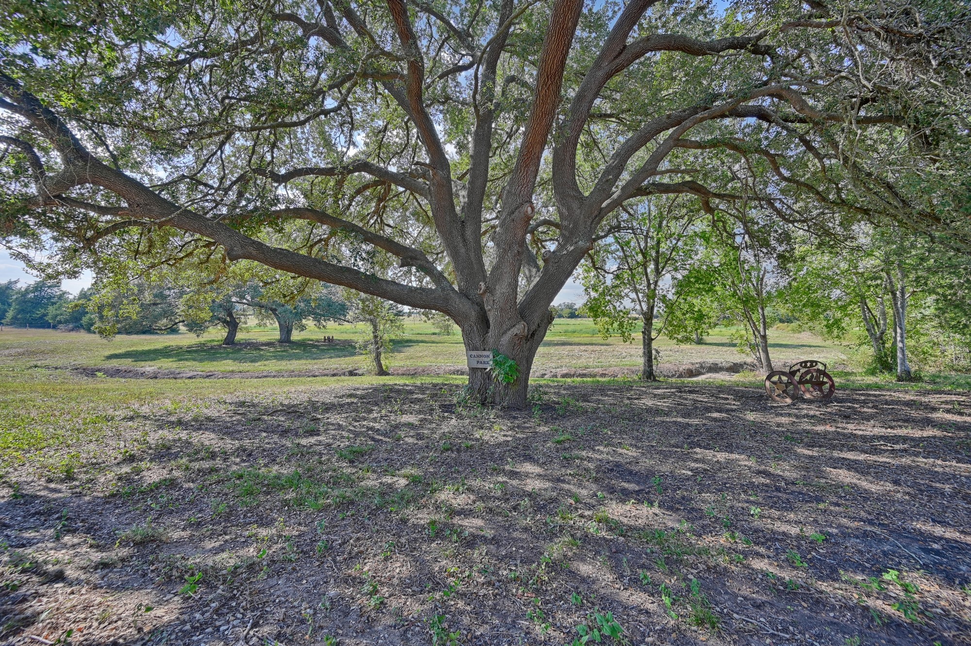 86-acres Ganske Road Burton, TX 77835 - Photo 13 of 24