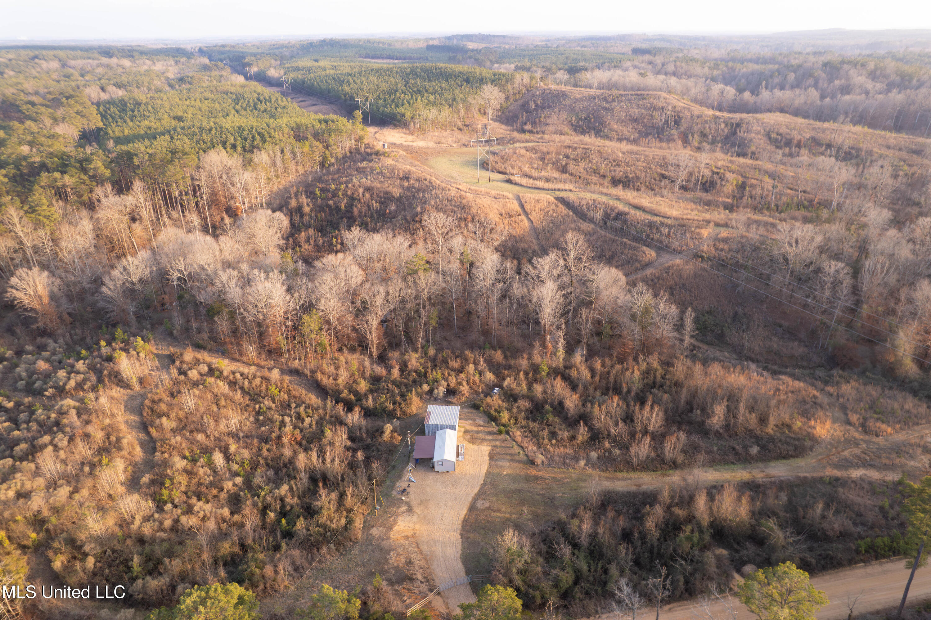 4101 Off County Road Sallis, MS 39160 - Photo 1 of 47 Cover Photo