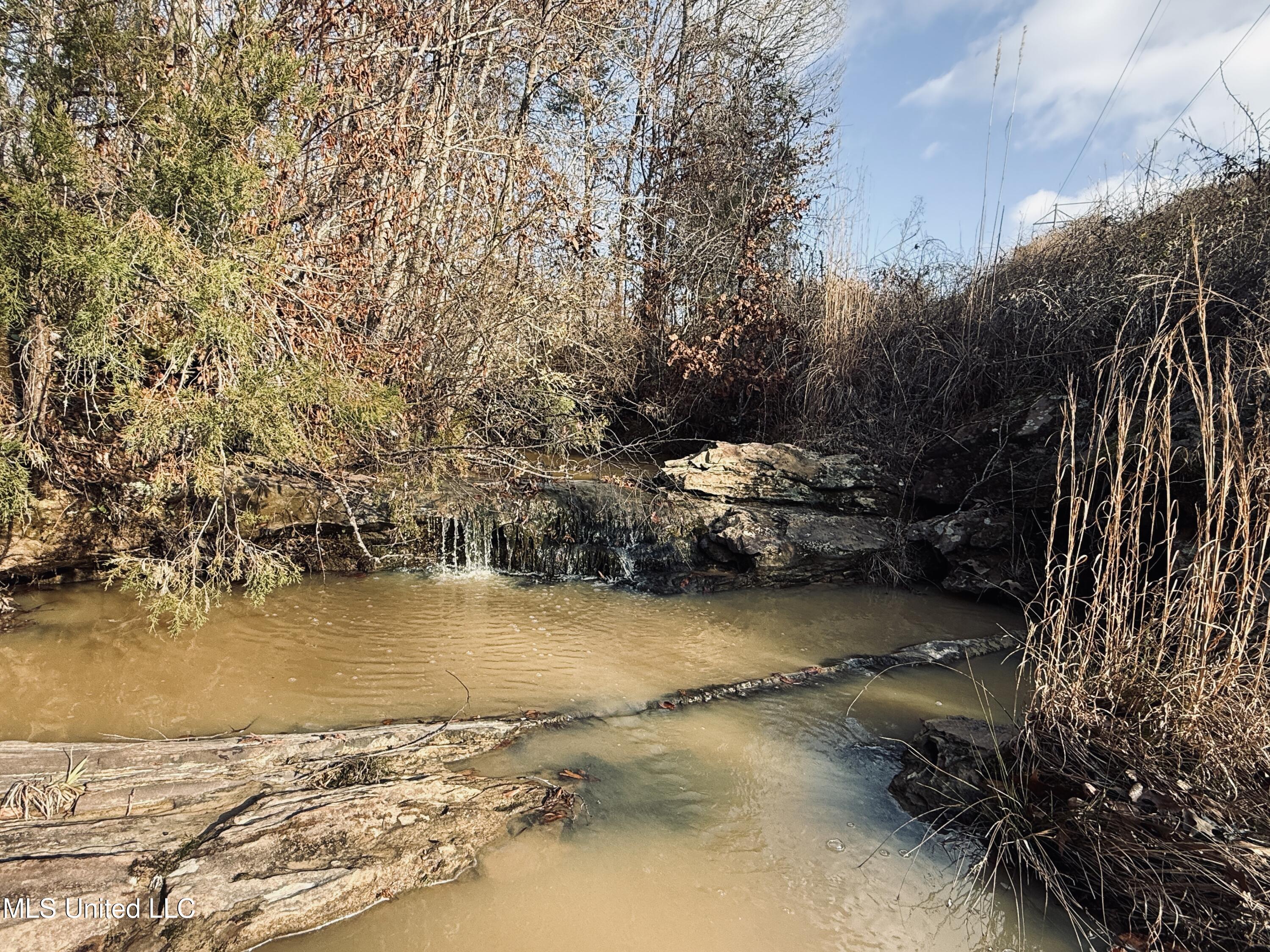 4101 Off County Road Sallis, MS 39160 - Photo 16 of 47 7