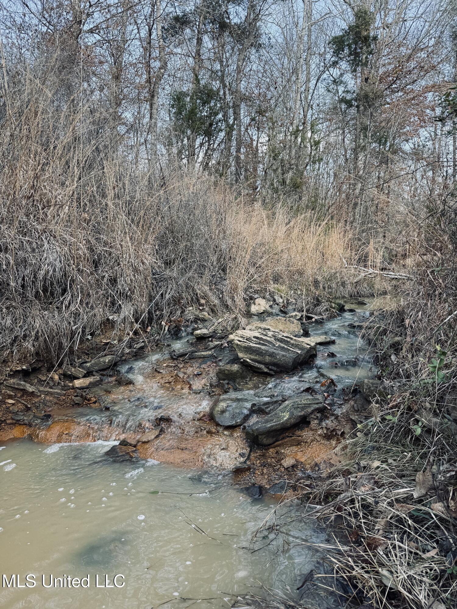 4101 Off County Road Sallis, MS 39160 - Photo 17 of 47 8