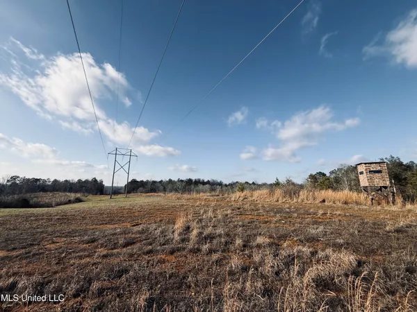 $199,500 | 4101 Off County Road, Sallis, MS 39160