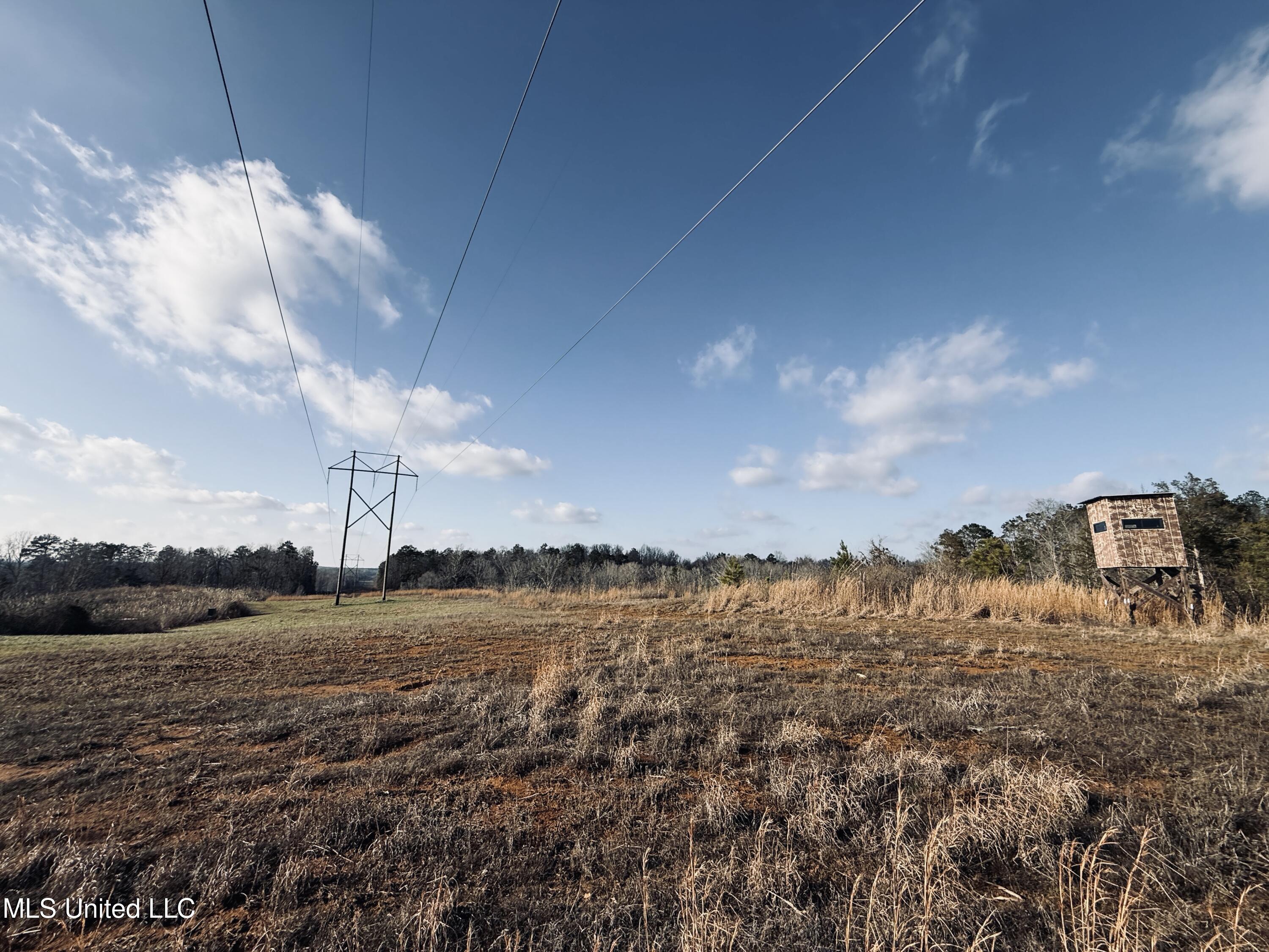 4101 Off County Road Sallis, MS 39160 - Photo 18 of 47 9