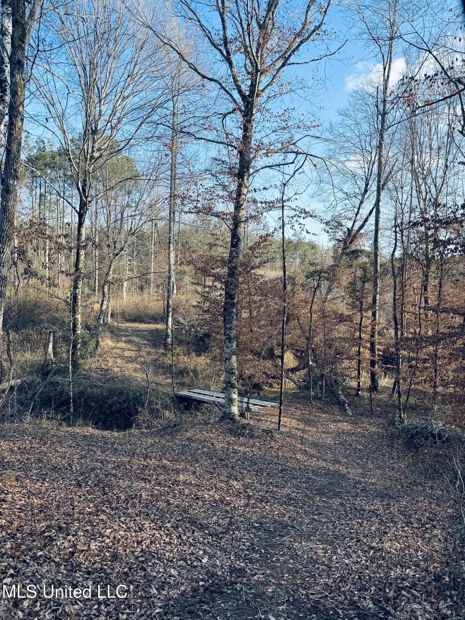 4101 Off County Road Sallis, MS 39160 - Photo 19 of 47 10