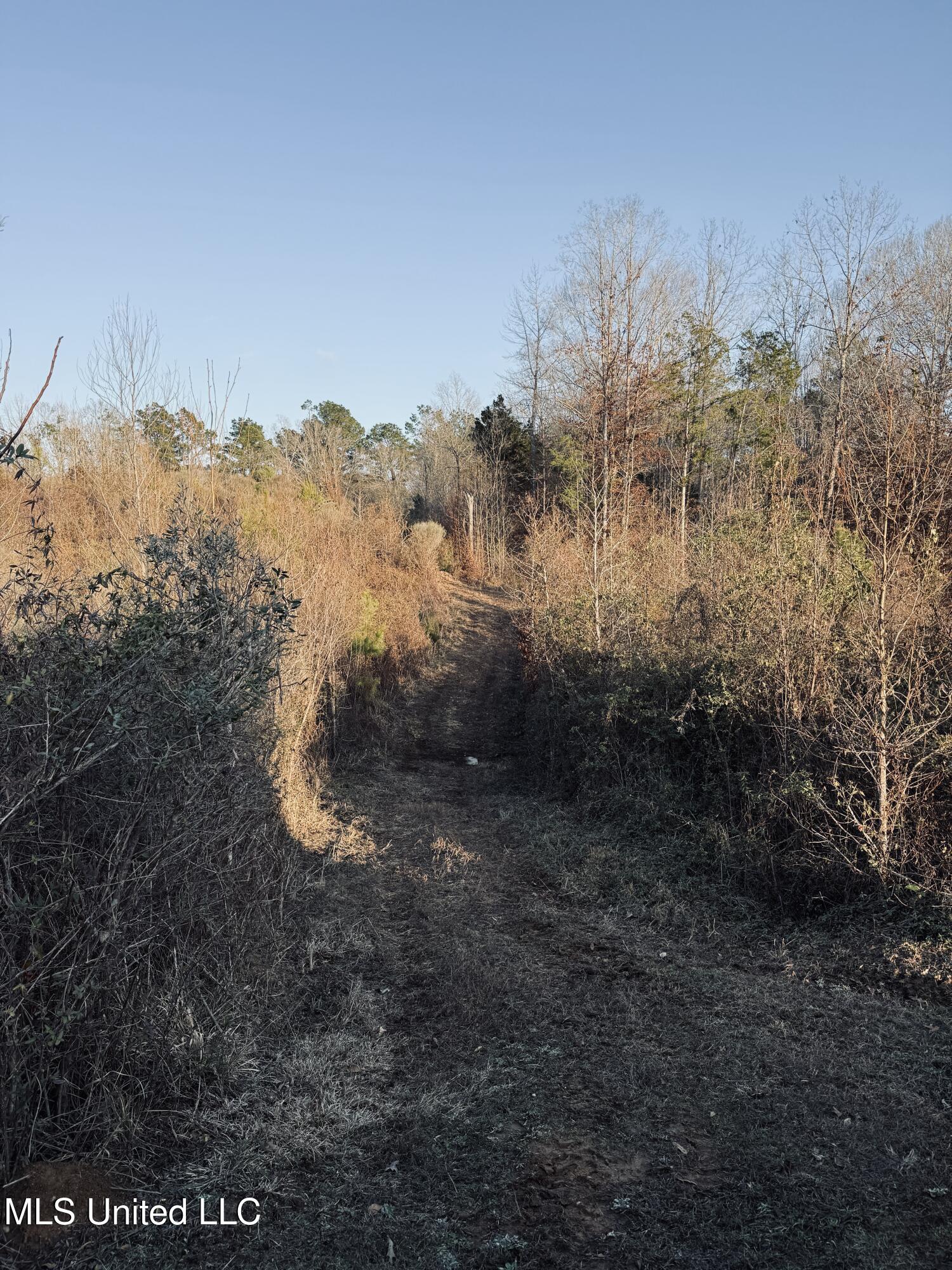 4101 Off County Road Sallis, MS 39160 - Photo 21 of 47 IMG_2314