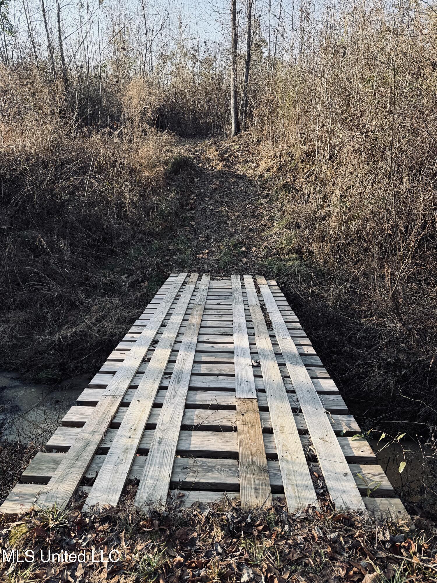 4101 Off County Road Sallis, MS 39160 - Photo 22 of 47 IMG_2288