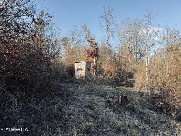 $199,500 | 4101 Off County Road, Sallis, MS 39160