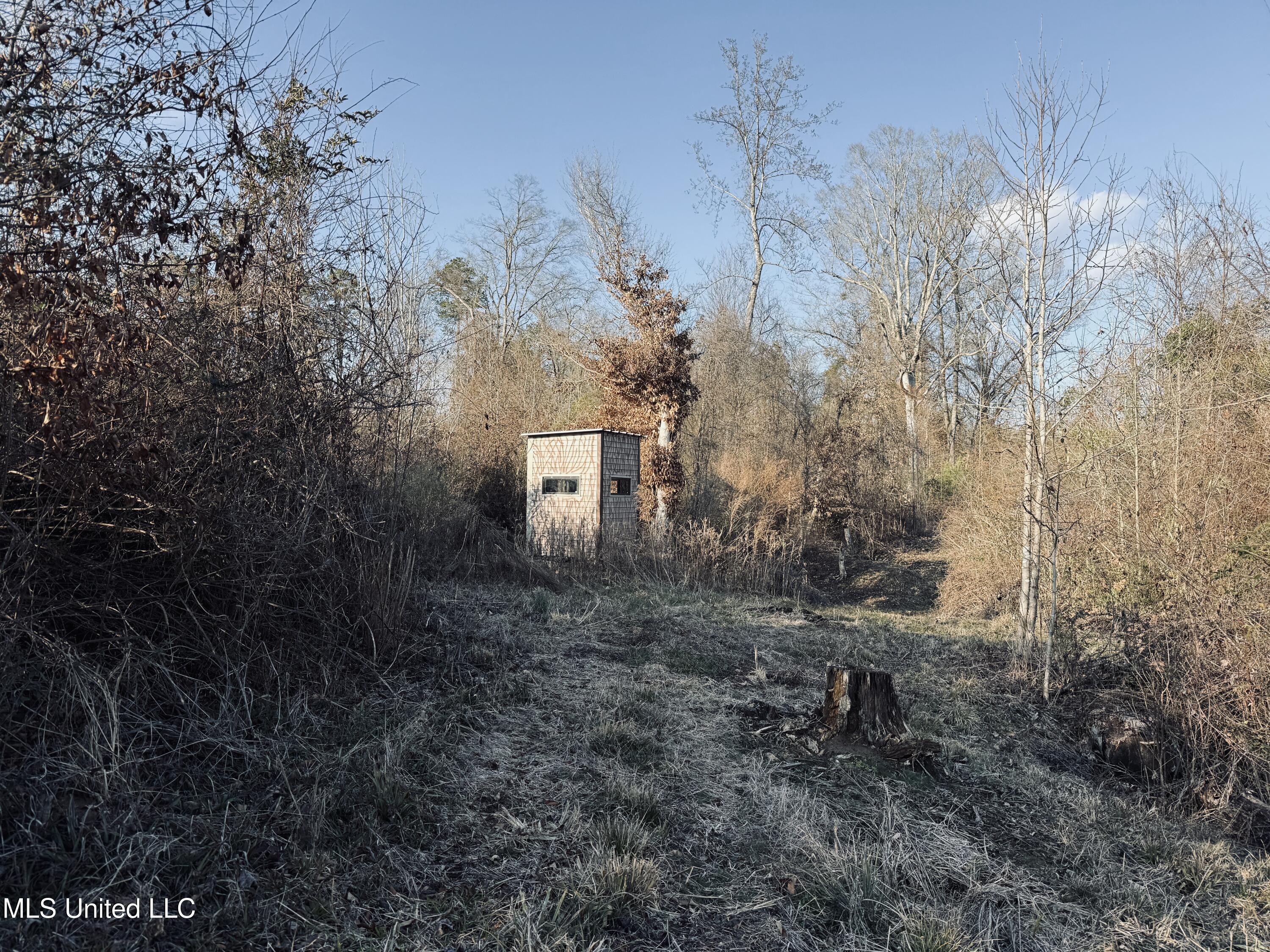 4101 Off County Road Sallis, MS 39160 - Photo 23 of 47 IMG_2289
