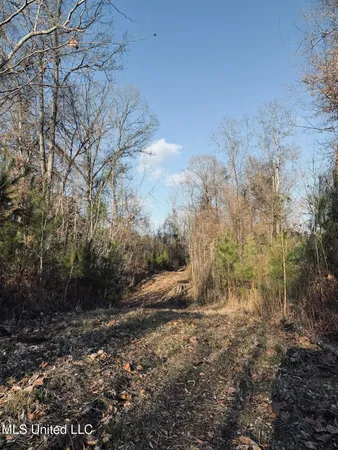 $199,500 | 4101 Off County Road, Sallis, MS 39160