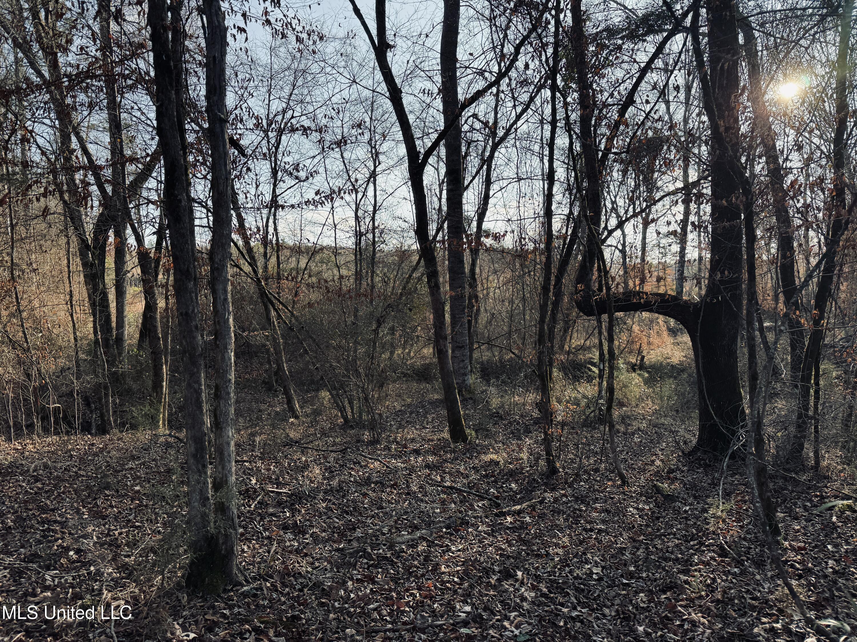 4101 Off County Road Sallis, MS 39160 - Photo 25 of 47 IMG_2292