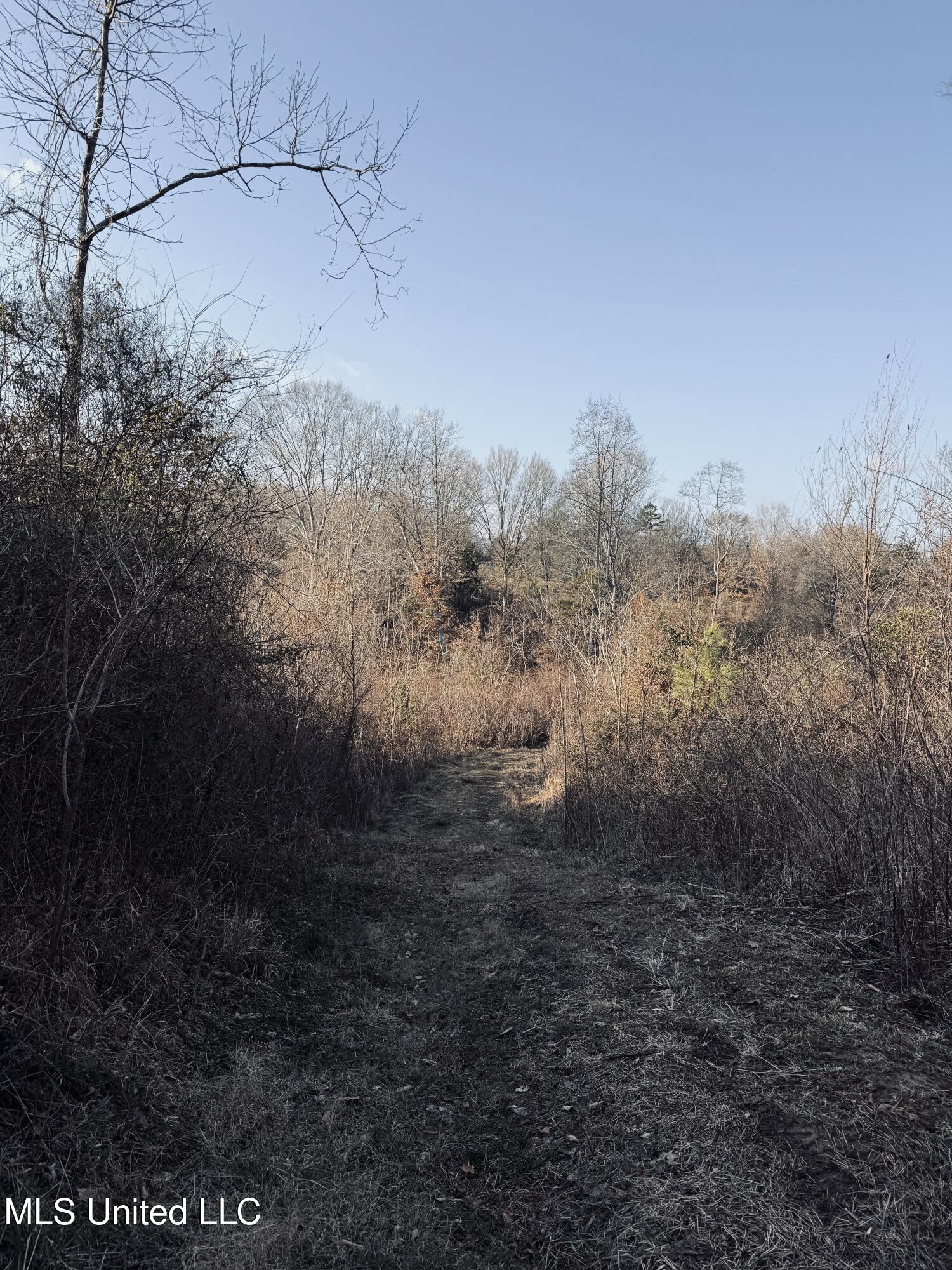 4101 Off County Road Sallis, MS 39160 - Photo 26 of 47 IMG_2295