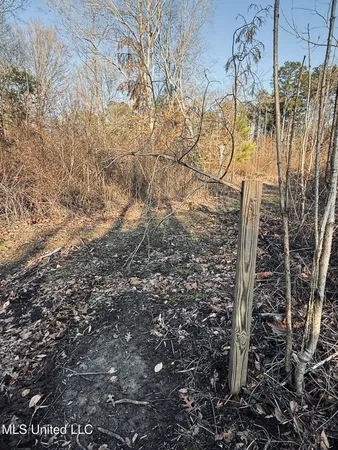 $199,500 | 4101 Off County Road, Sallis, MS 39160