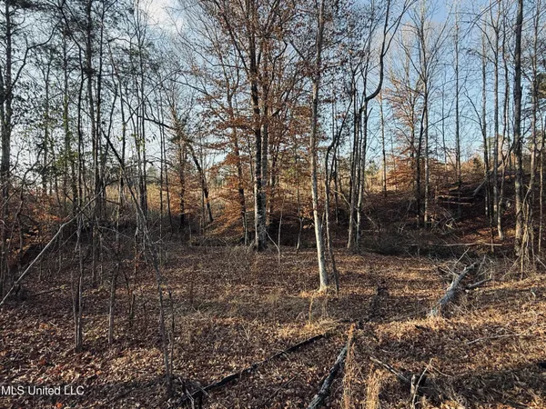 $199,500 | 4101 Off County Road, Sallis, MS 39160