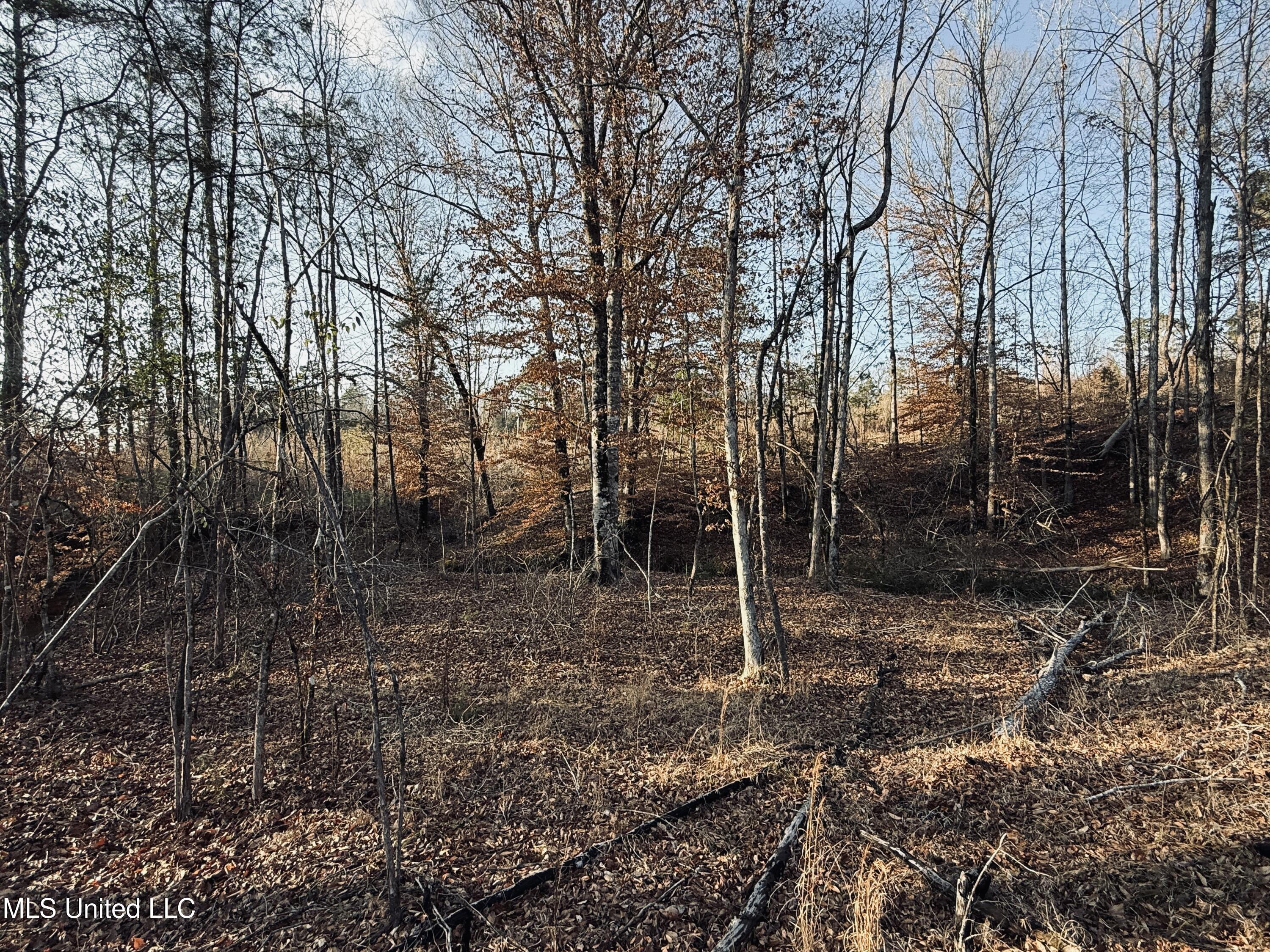 4101 Off County Road Sallis, MS 39160 - Photo 28 of 47 IMG_2298