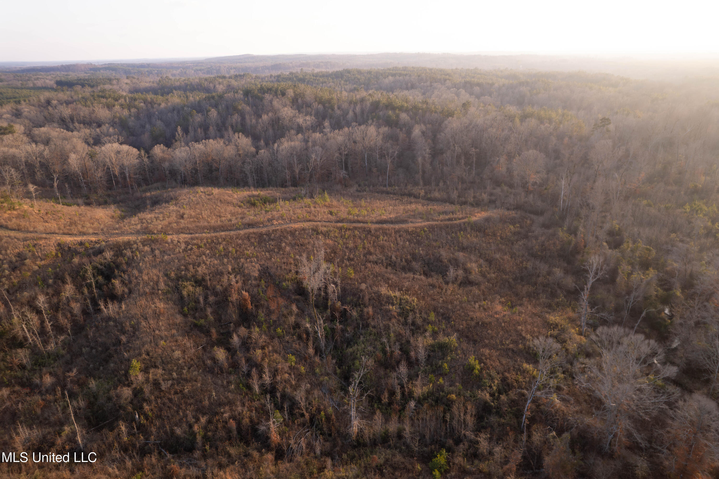 4101 Off County Road Sallis, MS 39160 - Photo 3 of 47 DJI_0048