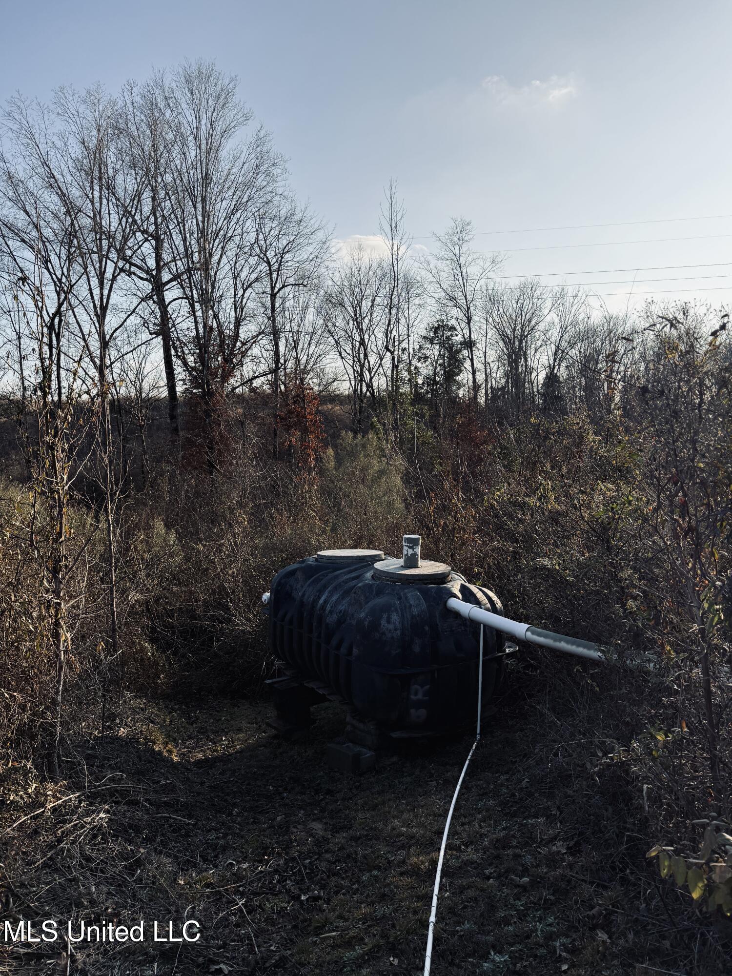4101 Off County Road Sallis, MS 39160 - Photo 31 of 47 IMG_2306