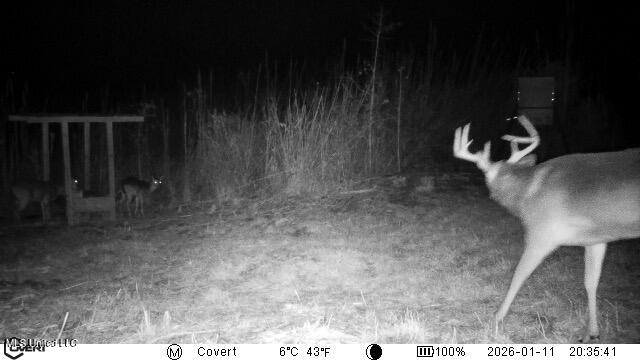 4101 Off County Road Sallis, MS 39160 - Photo 32 of 47 01_11_2026_20_35_42_3323303538