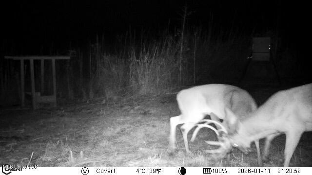 4101 Off County Road Sallis, MS 39160 - Photo 33 of 47 01_11_2026_21_21_00_3323338180