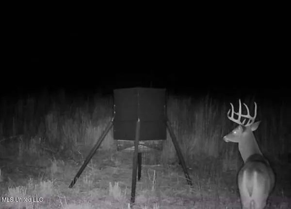 $199,500 | 4101 Off County Road, Sallis, MS 39160