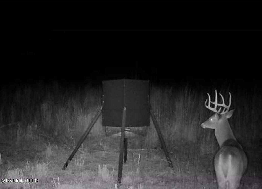 4101 Off County Road Sallis, MS 39160 - Photo 38 of 47 IMG_0314