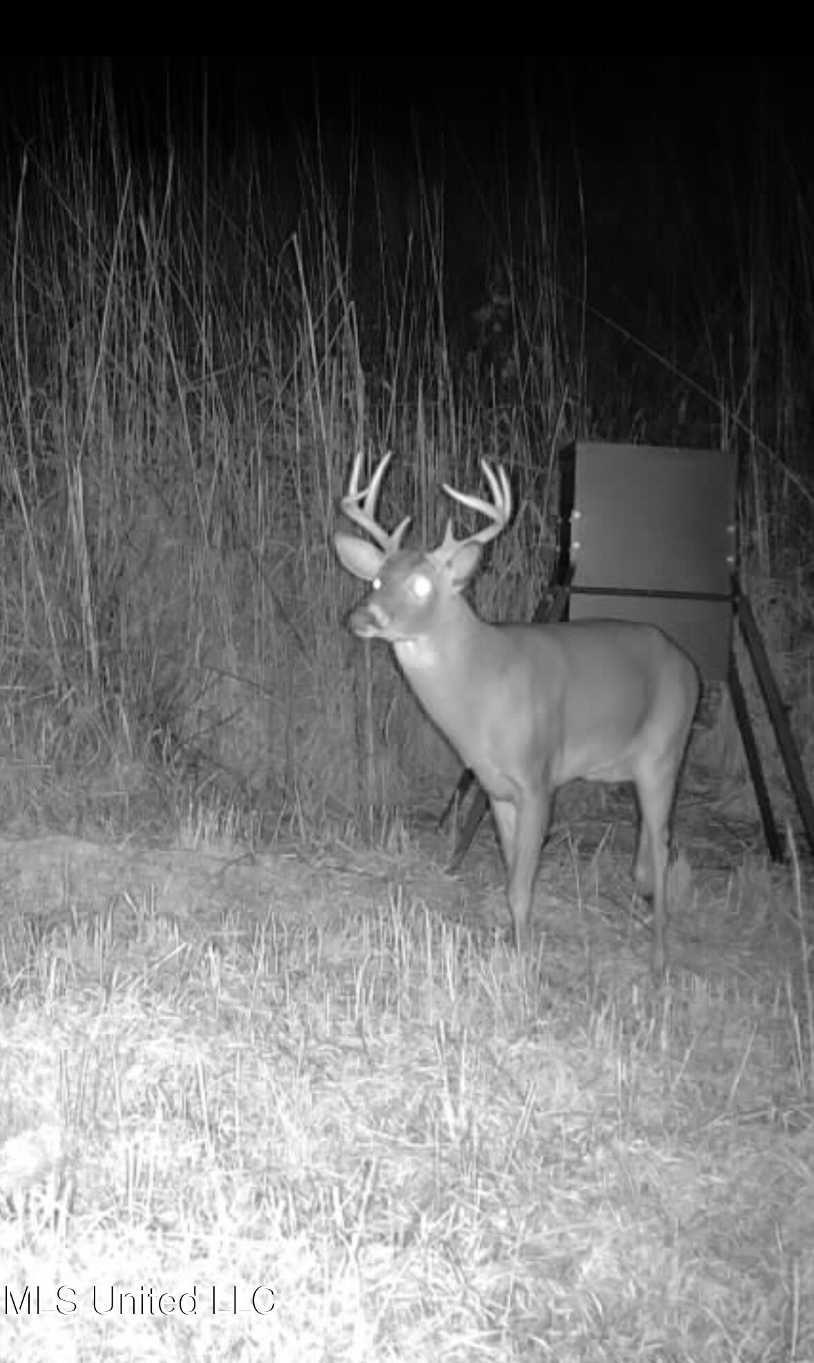 4101 Off County Road Sallis, MS 39160 - Photo 39 of 47 IMG_1872