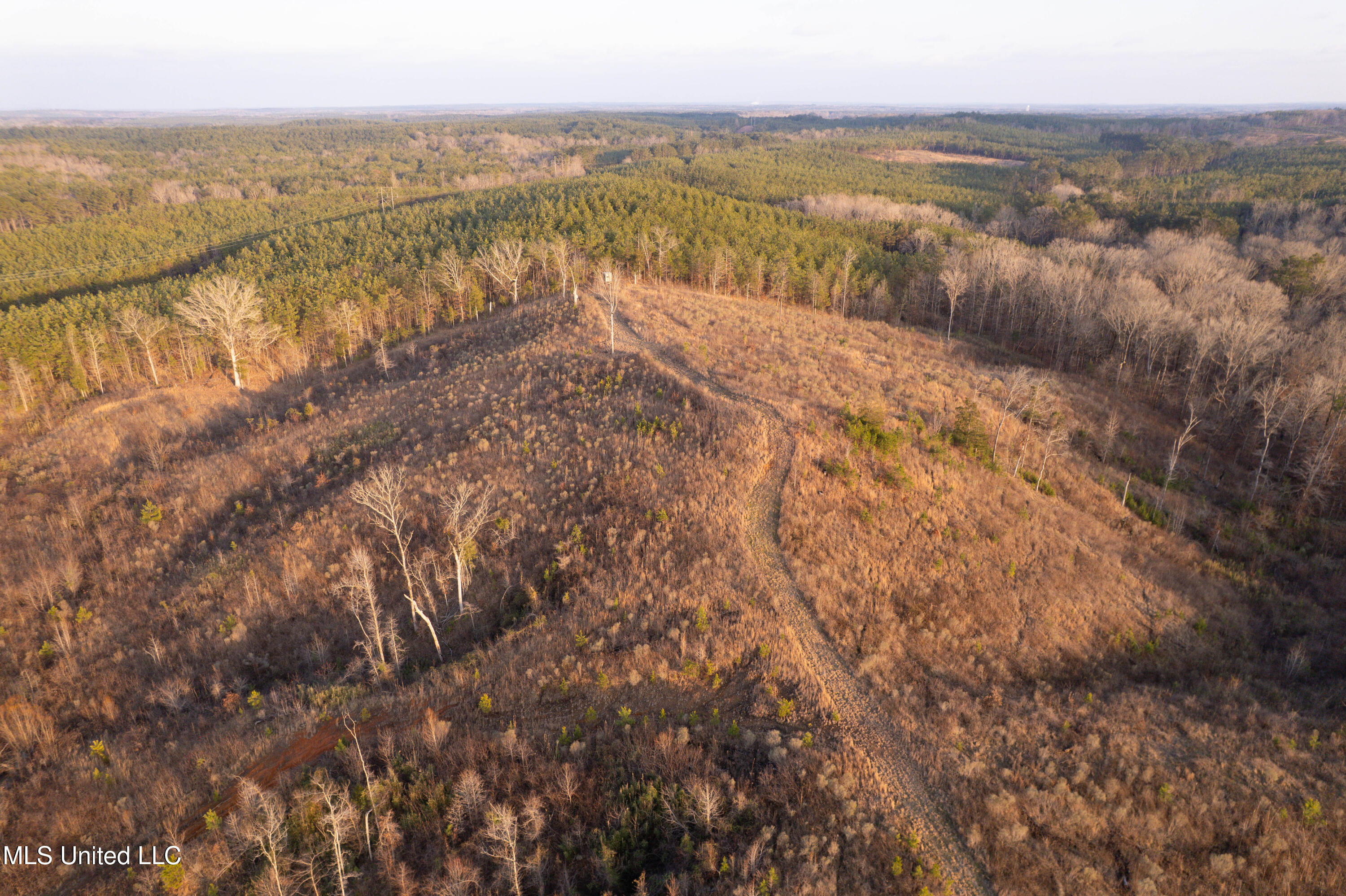 4101 Off County Road Sallis, MS 39160 - Photo 4 of 47 DJI_0049