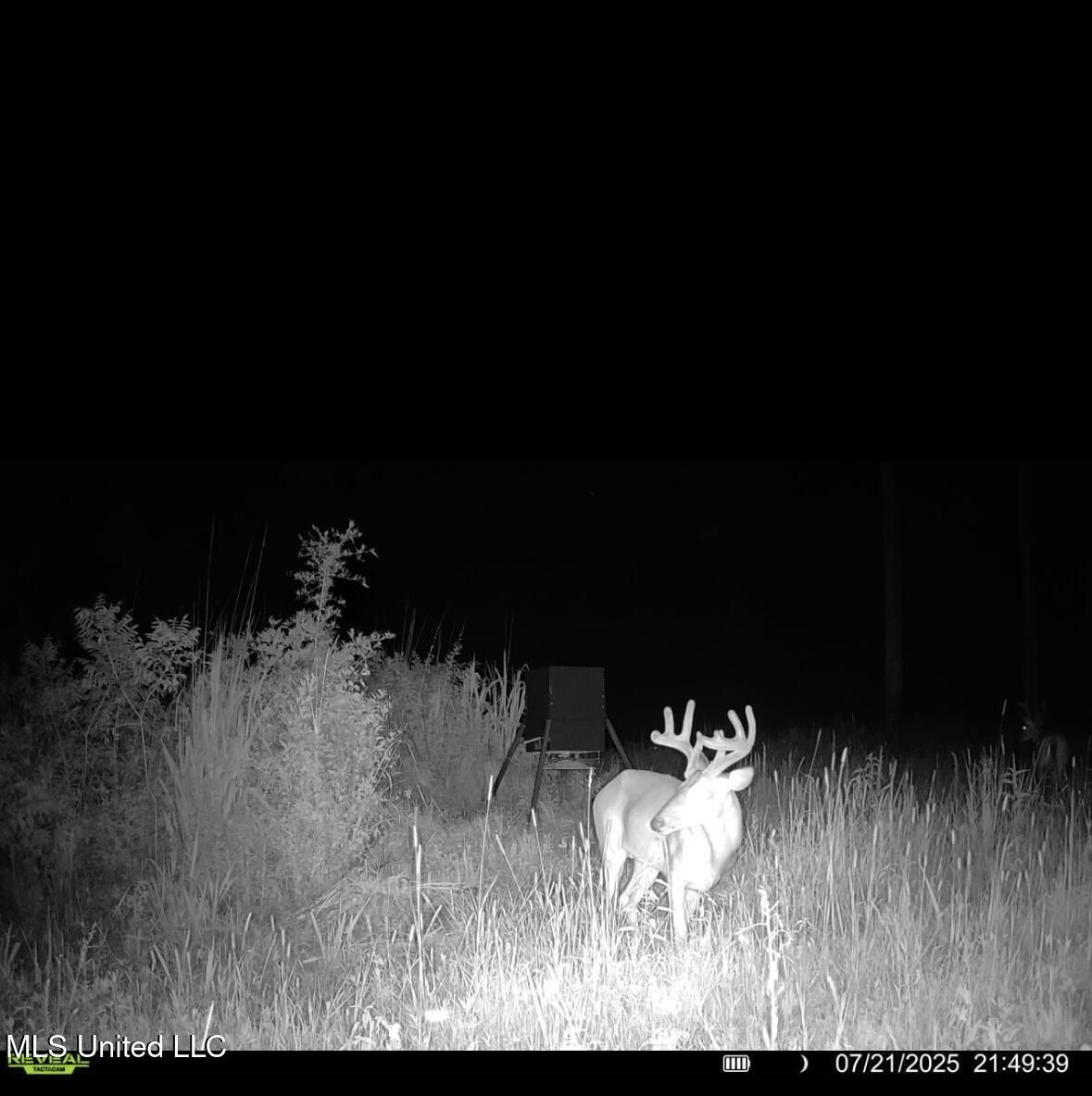 4101 Off County Road Sallis, MS 39160 - Photo 41 of 47 IMG_3211