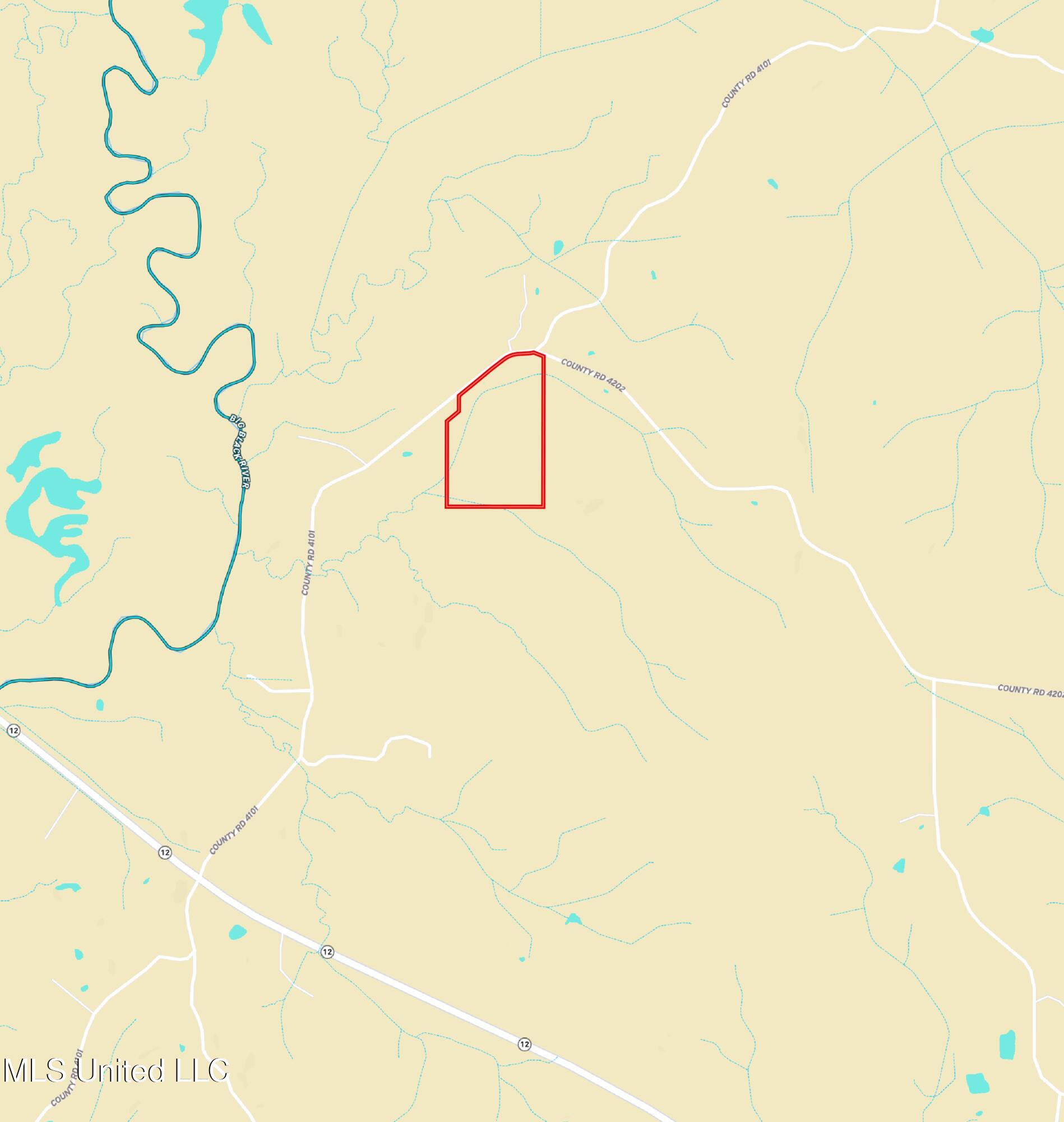 4101 Off County Road Sallis, MS 39160 - Photo 46 of 47 Overview