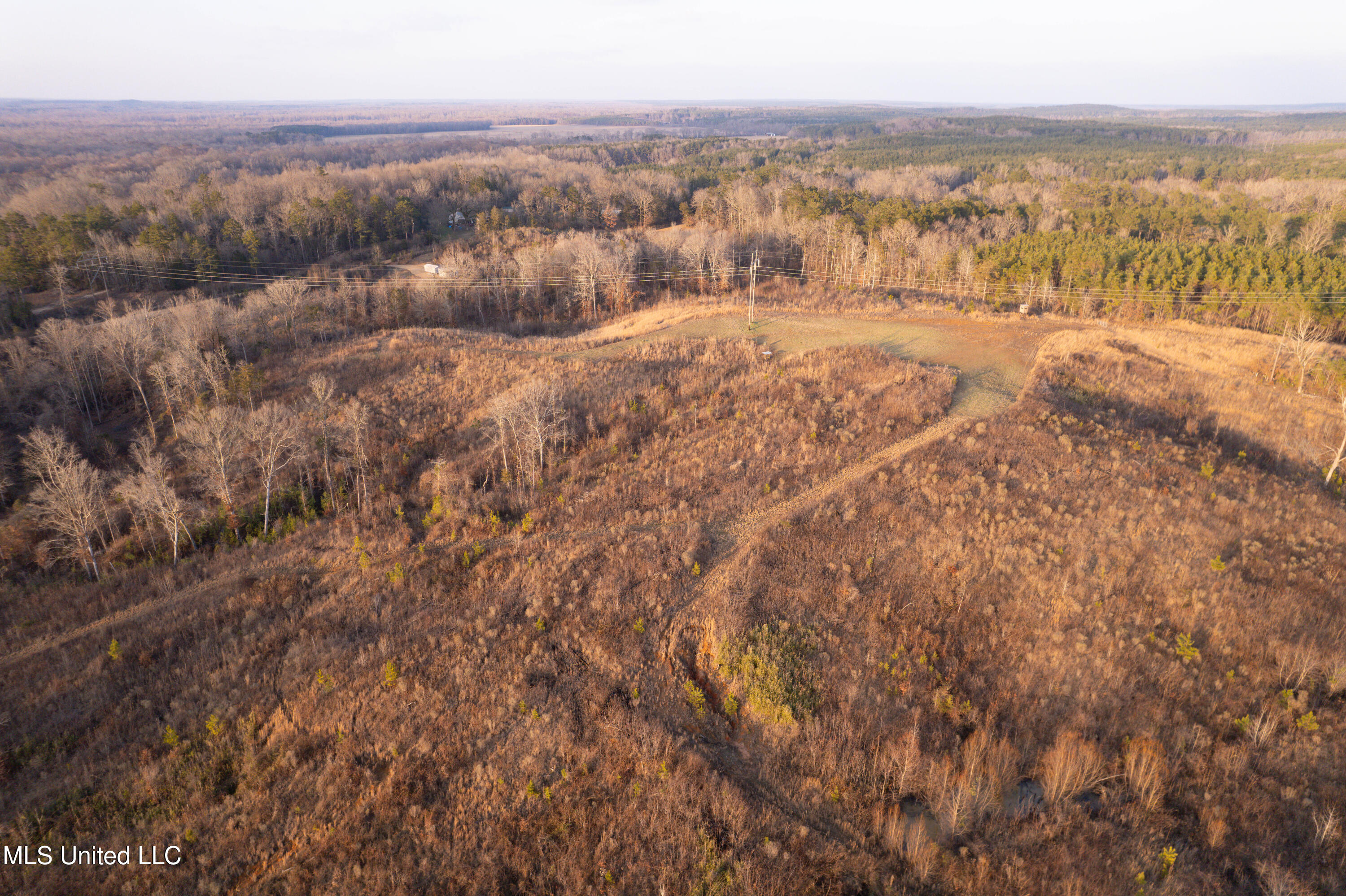 4101 Off County Road Sallis, MS 39160 - Photo 5 of 47 DJI_0050