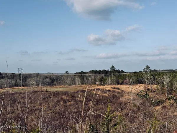 $199,500 | 4101 Off County Road, Sallis, MS 39160