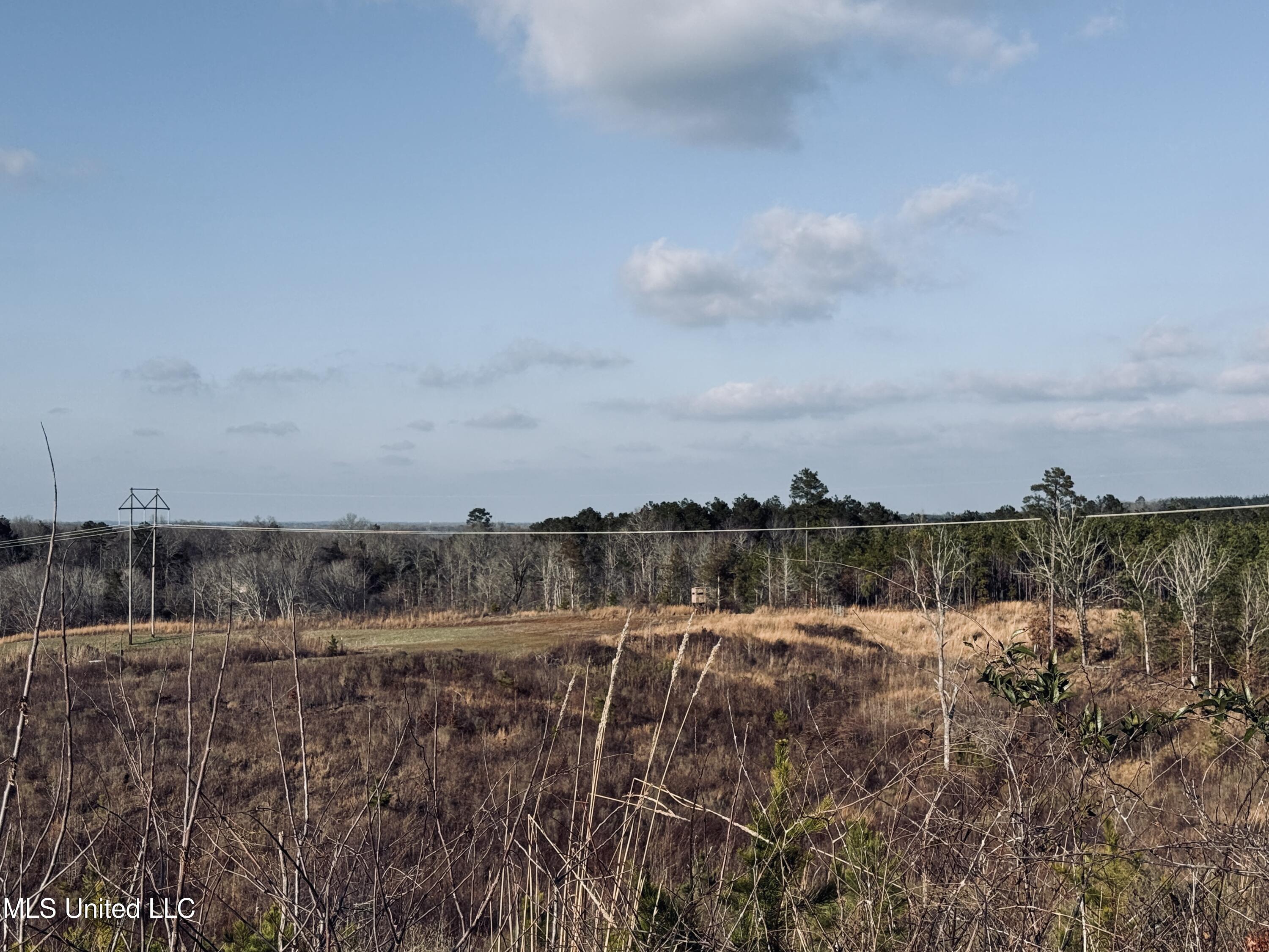 4101 Off County Road Sallis, MS 39160 - Photo 7 of 47 2